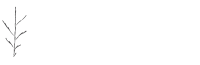 John McCarrick & Associates